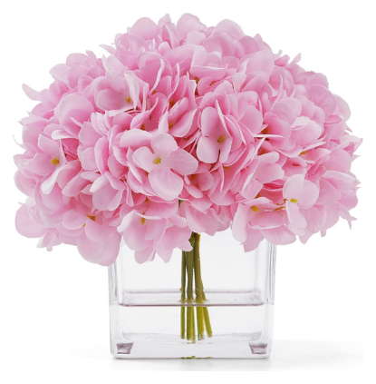 Hydrangeas