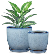 Blue Ceramic Planters