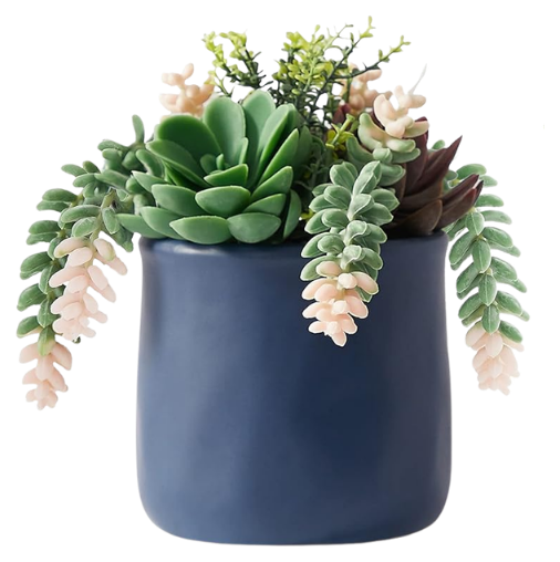Navy Succulent Planter