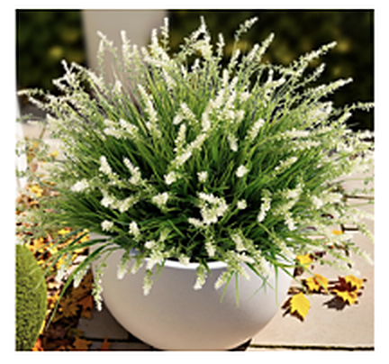 Faux White Flower Plant