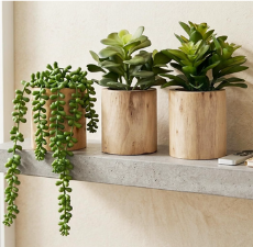 Faux Potted Plants