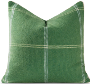 Green Windowpane Pillow
