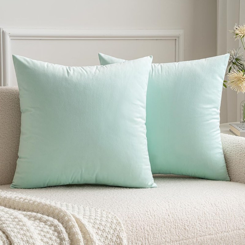 Mint Velvet Pillow